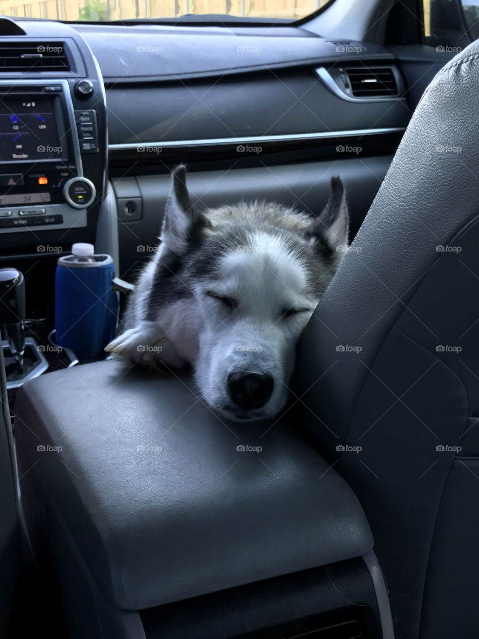 Road trips can be very tiring. 