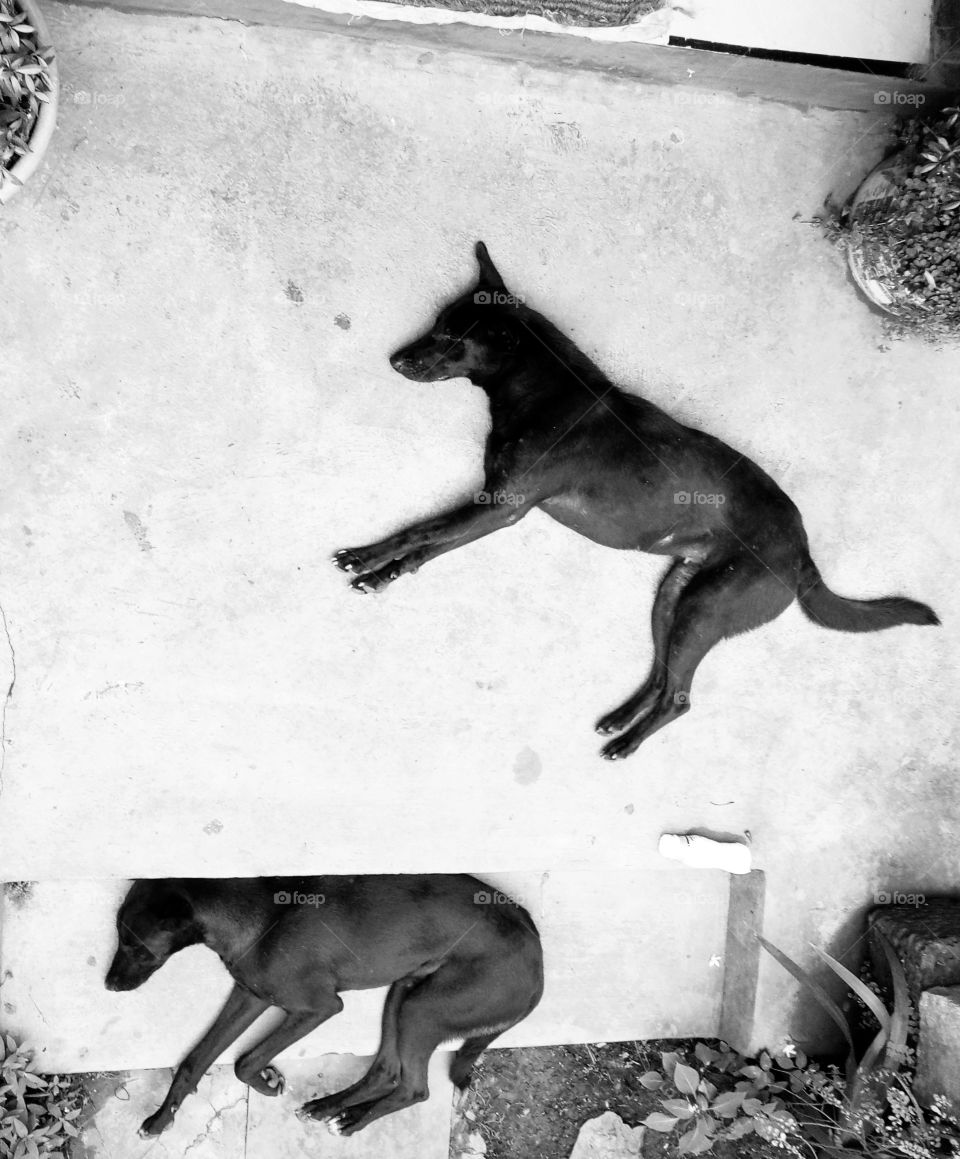 sleeping with dreams....