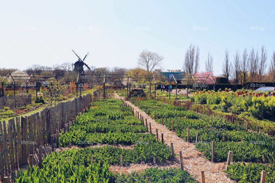 Agricultural site in Malmö