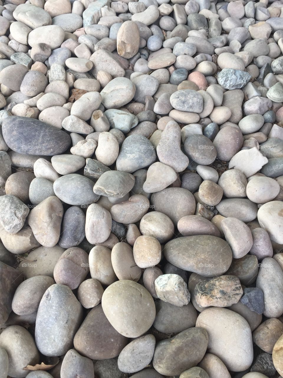 Bed rock. River rocks
