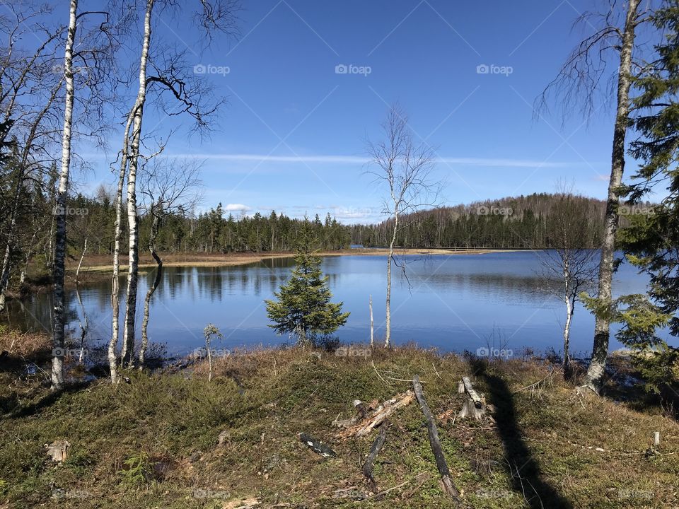 Beautiful lake in Karelia 2