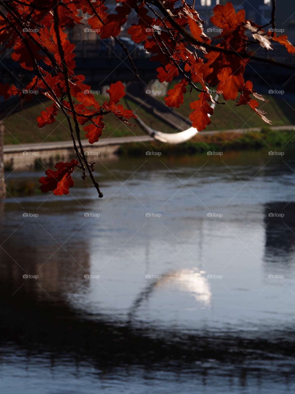 Moon under the bridge
