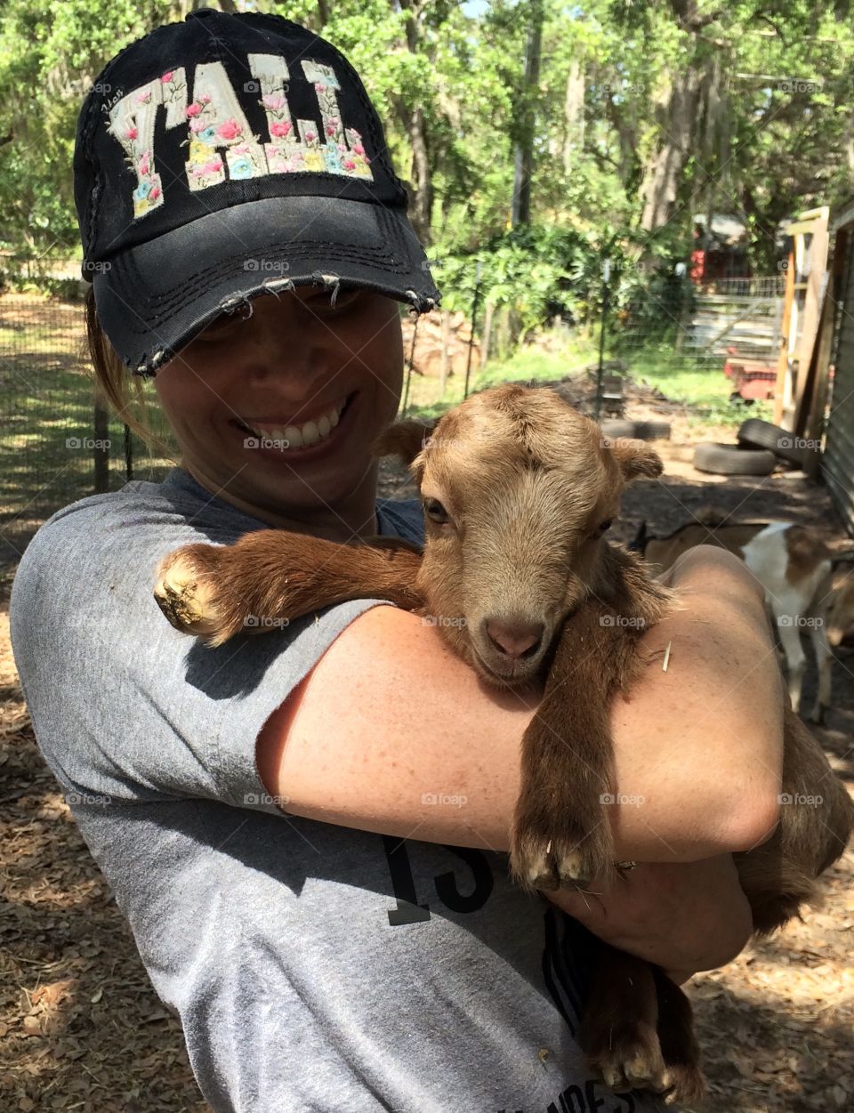 Happy cuddling adorable baby goat 