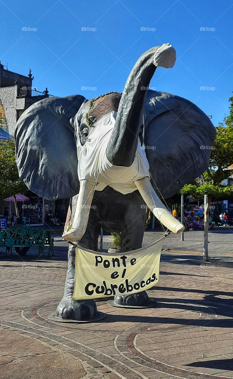 Elephant with mask,elephant,covid,mask,put on the mask,gray,art,colorful,landscape