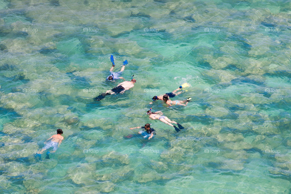 Snorkeling in Hawaii