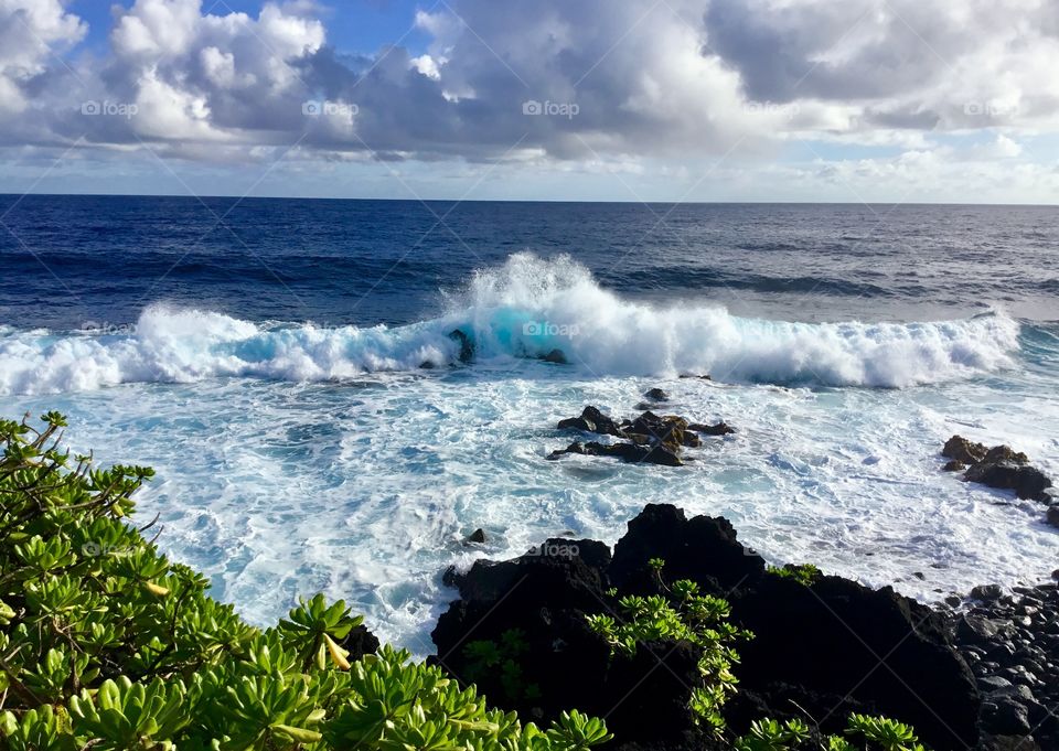 Naupaka, lava rock, waves, and sky