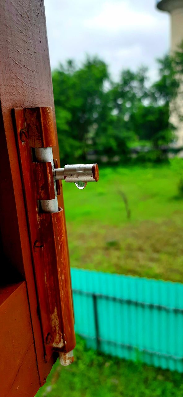 Drop of Life