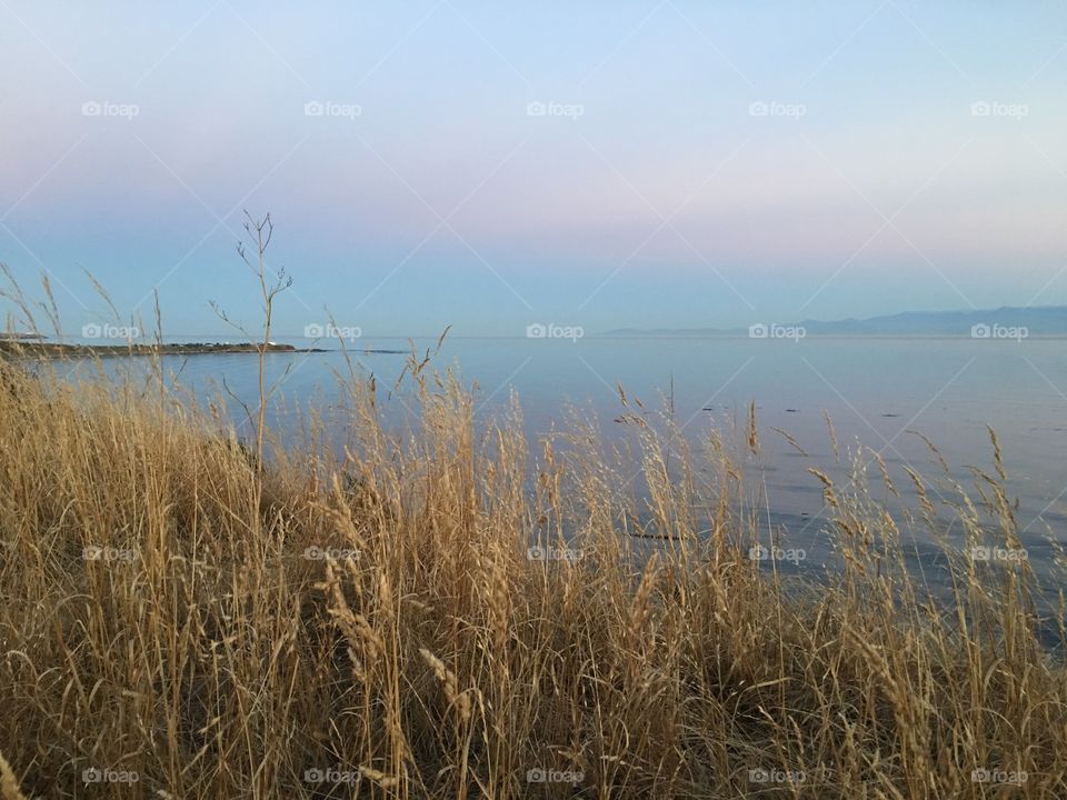 By the coastline of Victoria