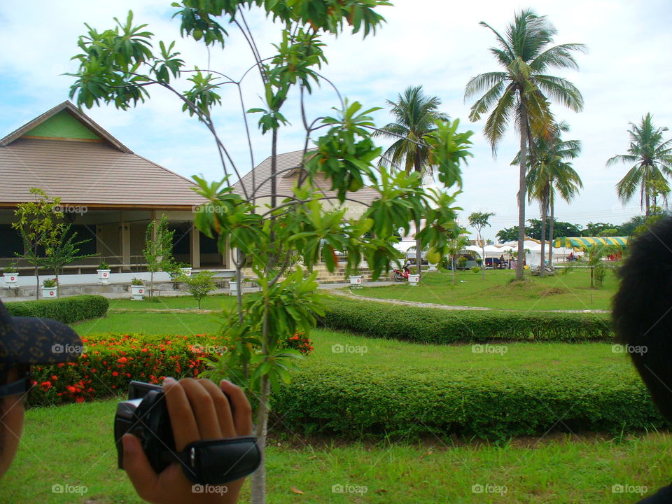 No Person, Tree, People, Chair, Lawn