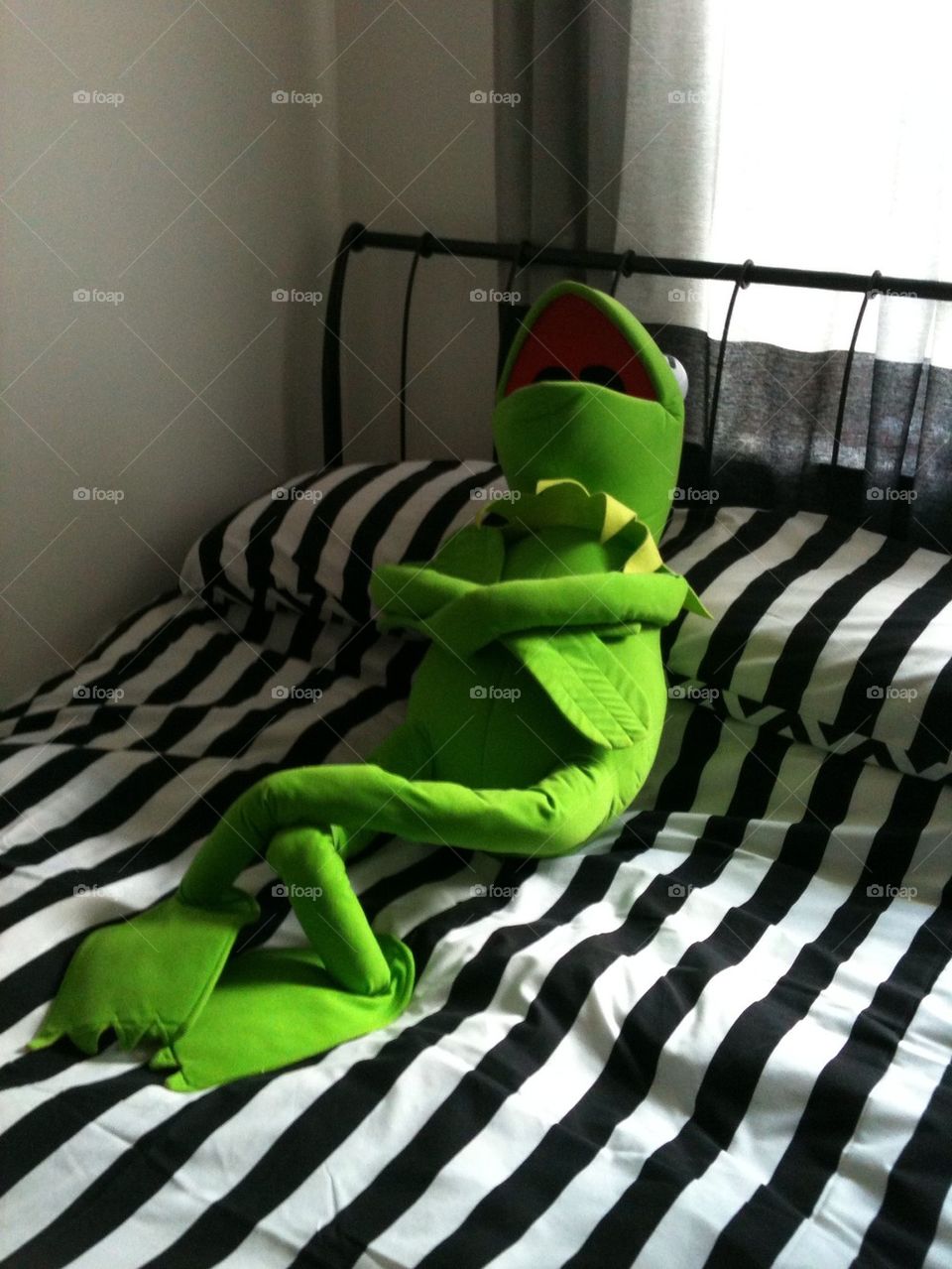 Kermit contemplating