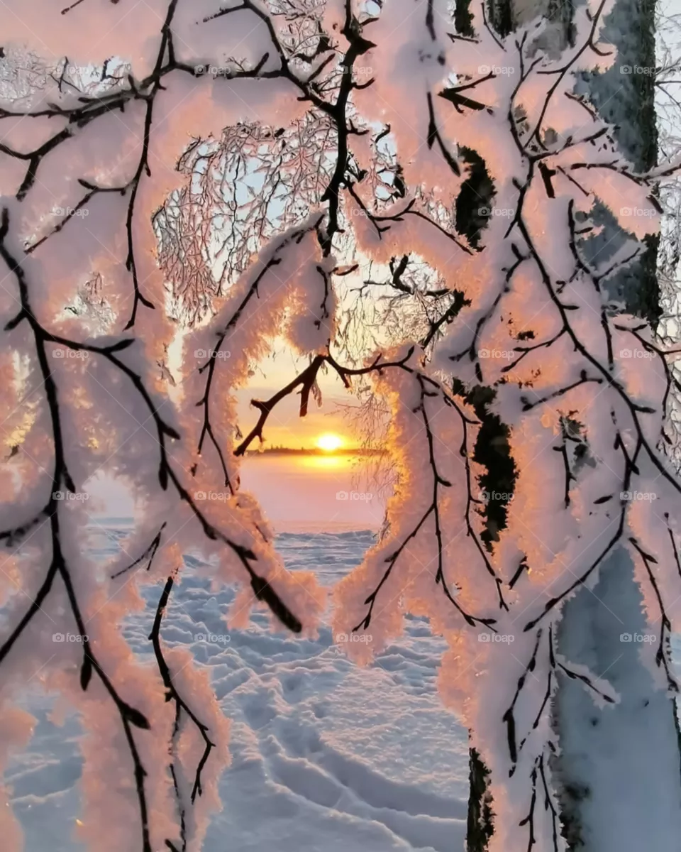 Sunrise In Finland Stock Photography