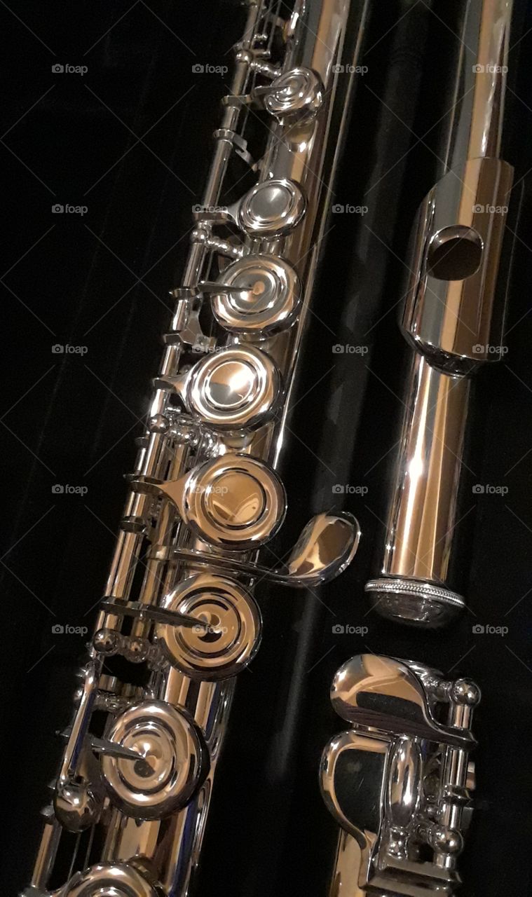 Shiny Flute