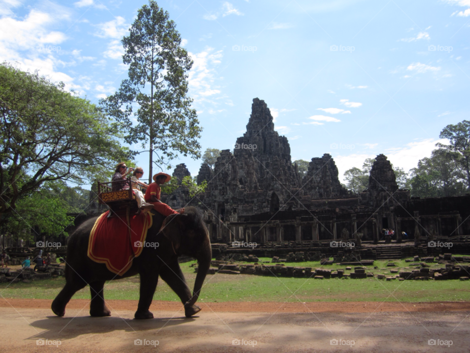 elephant cambodia siem reap bayon by samyen