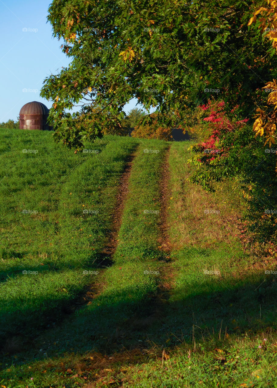 The road to the barn