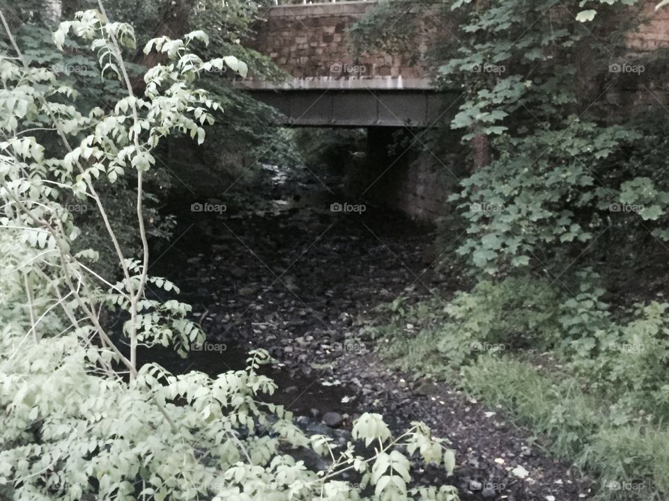 John Smalley . River loon lancaster  