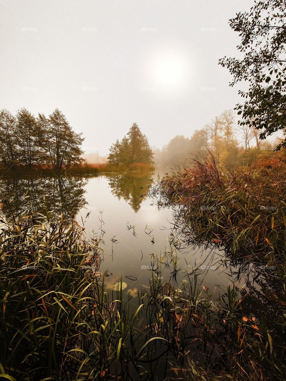 River - Autumn