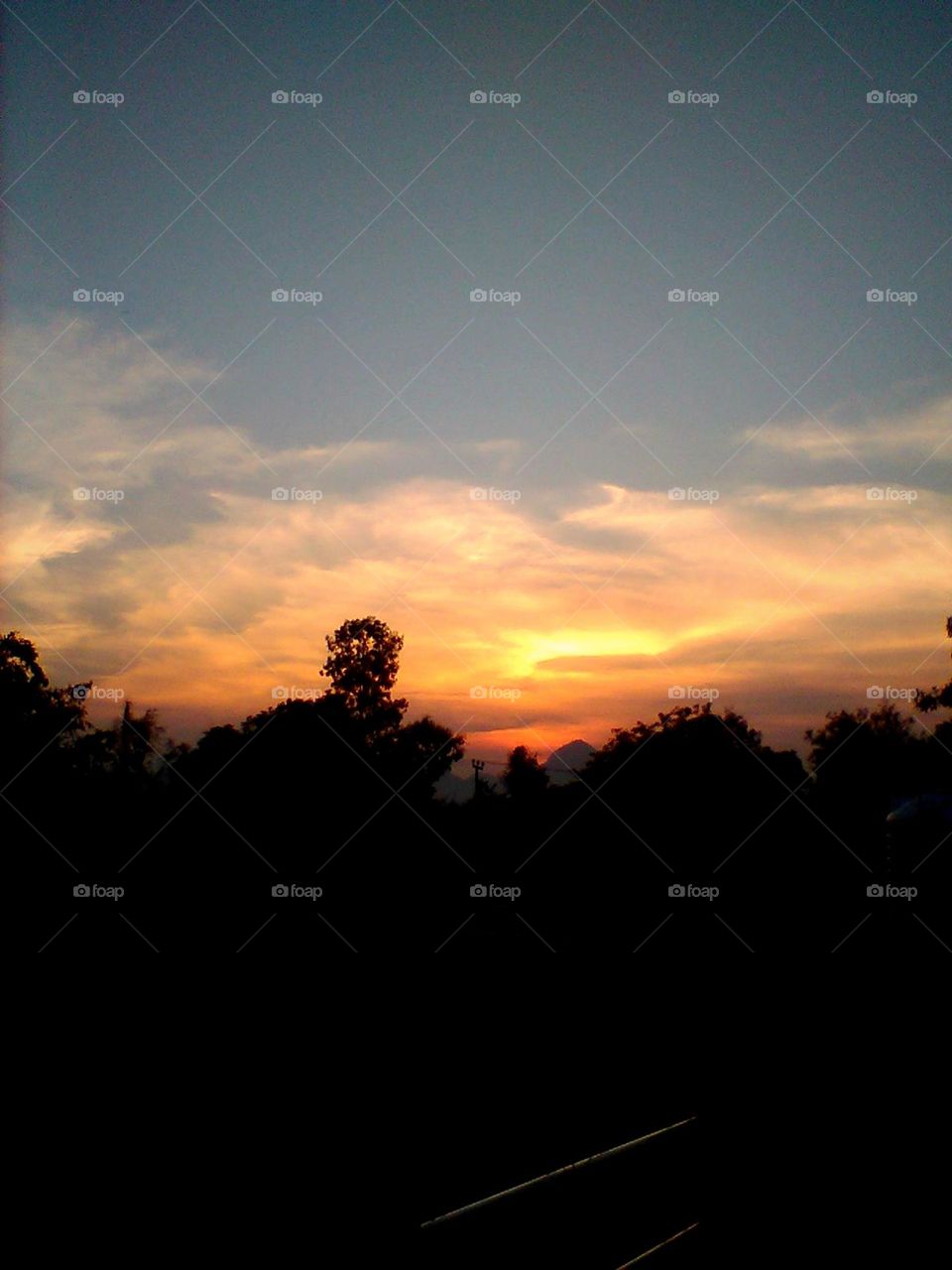 Their silhouettes, like nature's own work of art, Etched against the orange, a peaceful, gentle start.The sun's descent, a slow and gentle sway, Leaves us mesmerized, at the end of each passing day.