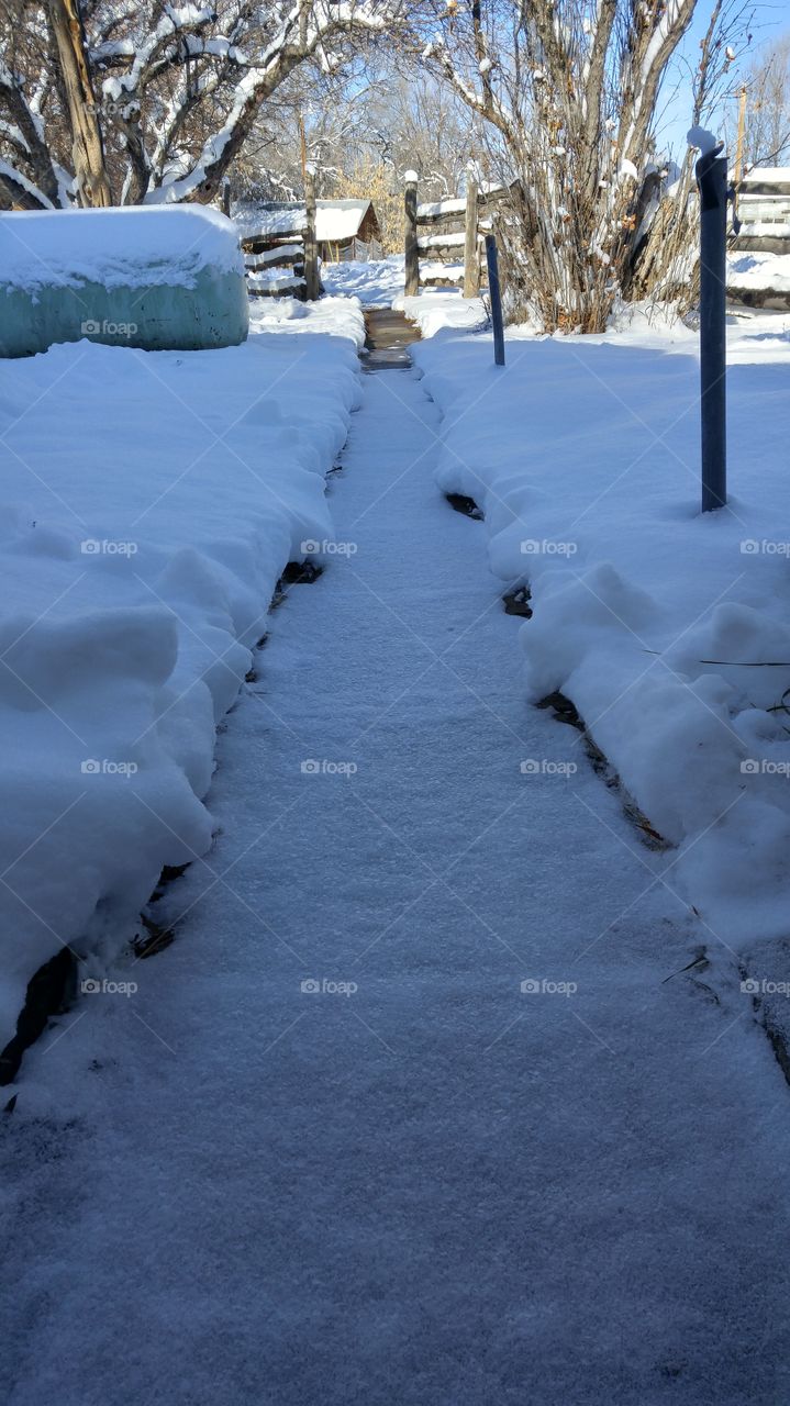 Snow covered sidewalk
