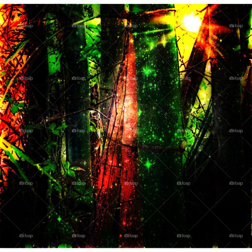 Psychedelic bamboo   
