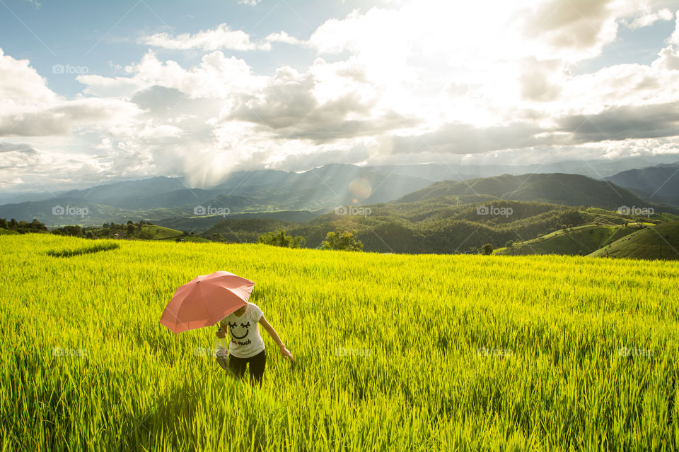 Travel in rice fields