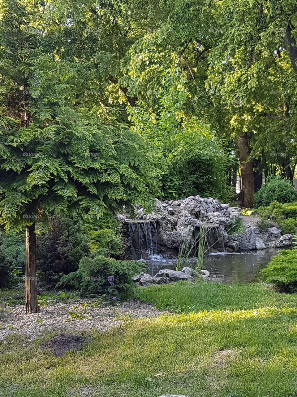 Scenic view of small waterfall in forest