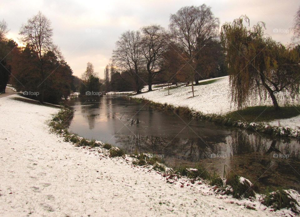 Snow in the park