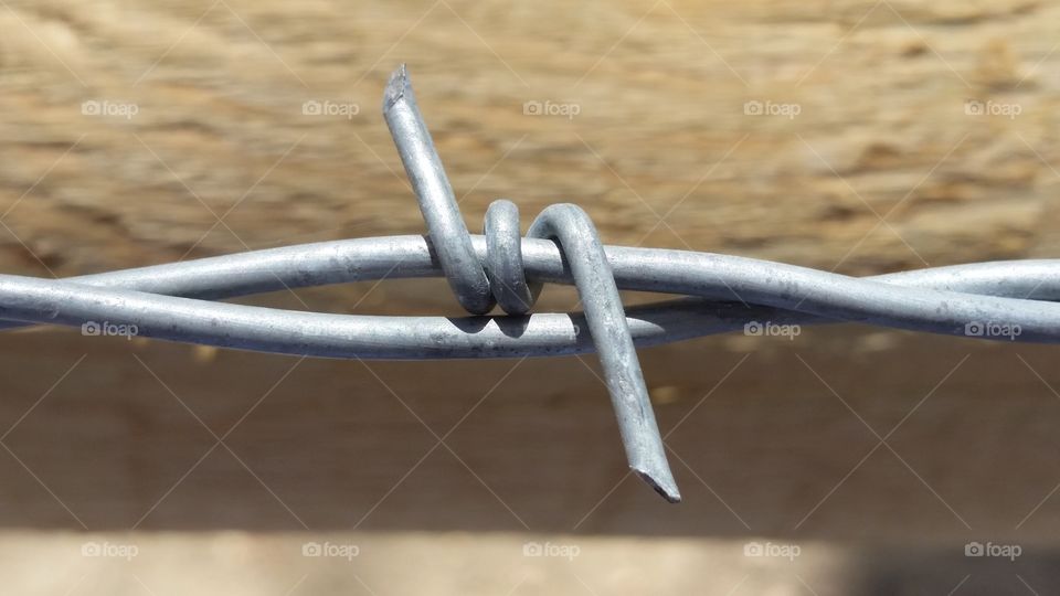 Barb Wire
