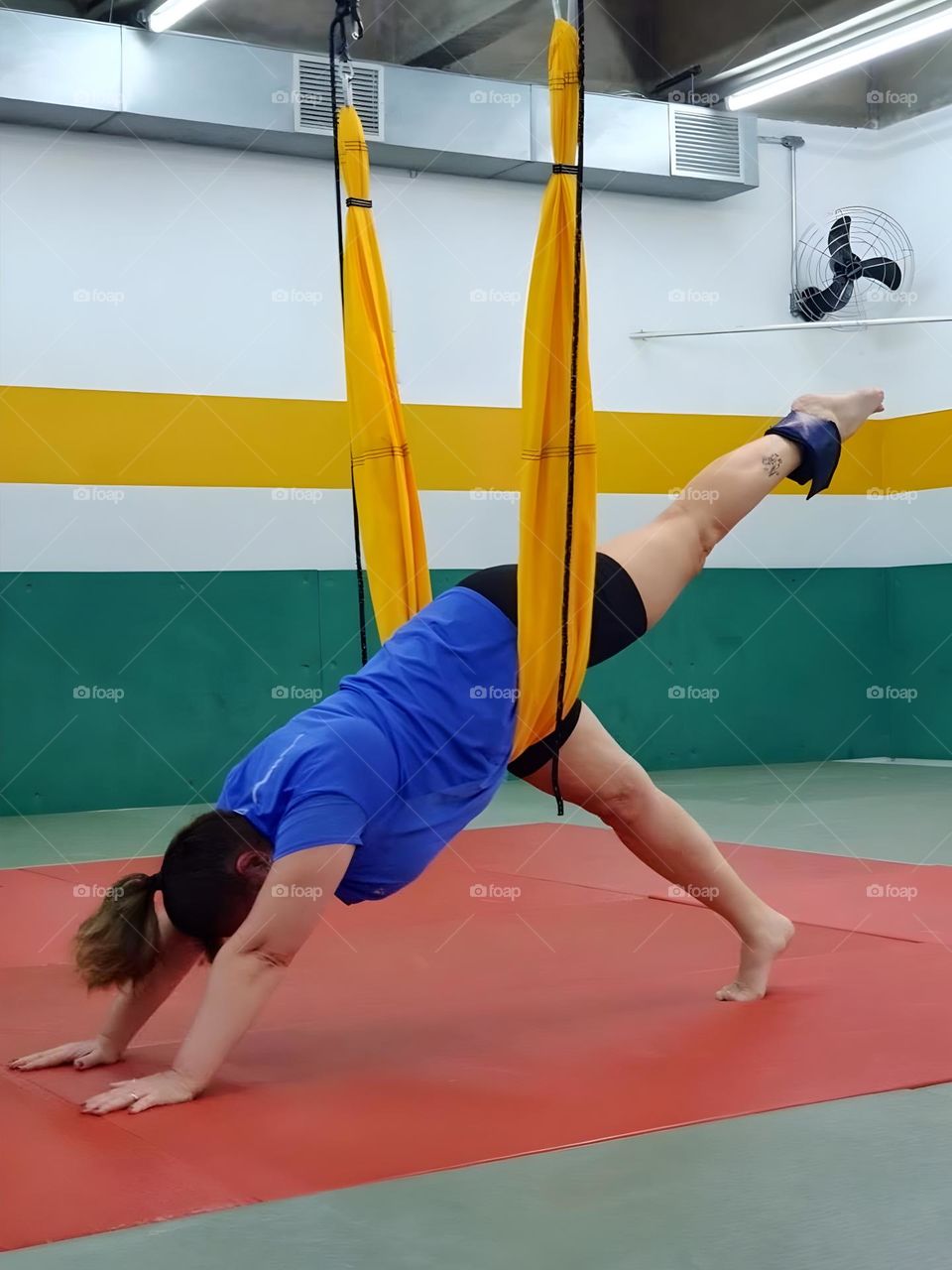 Pilates Suspensus