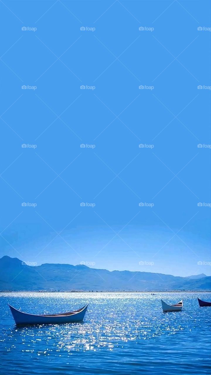 A very beautiful picture, and there is no better picture than it. There is no better picture of green herbs and colorful, red and white roses than it. Glory be to God, the natural and picturesque view, and there is no more wonderful picture than it.