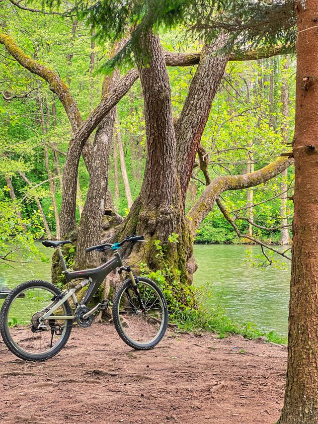 It's time for a bike