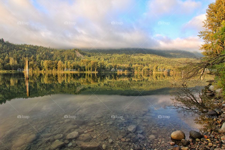 Morning walk by the lake