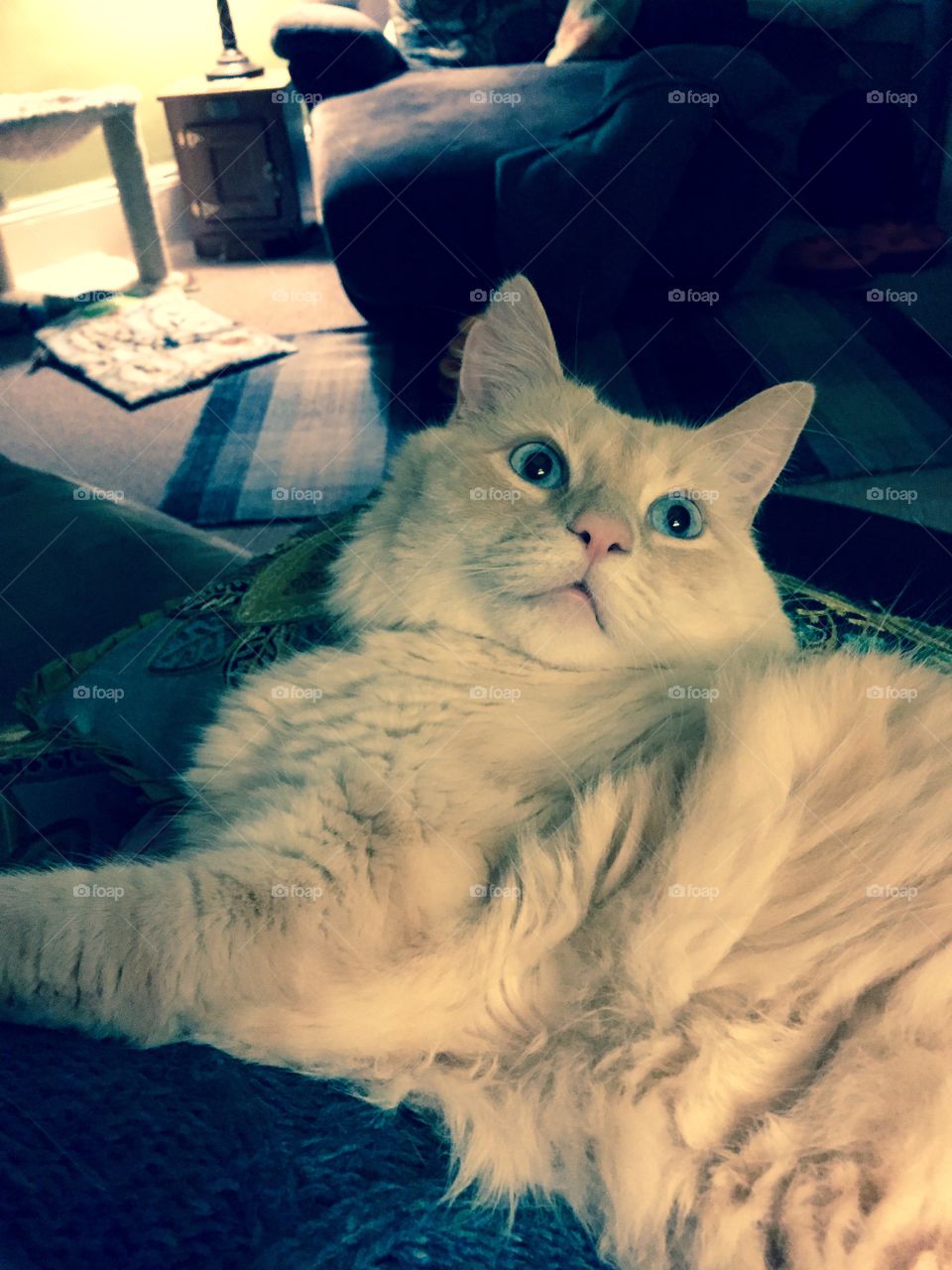 Laying around Again! 