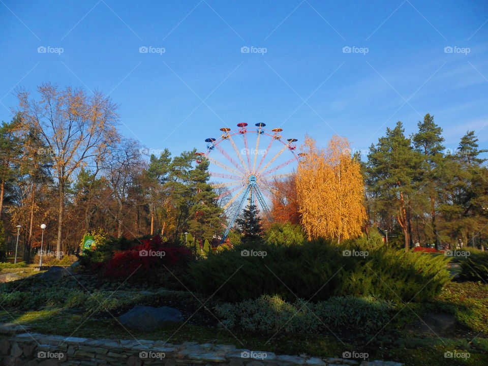 early autumn in the park of Kiev