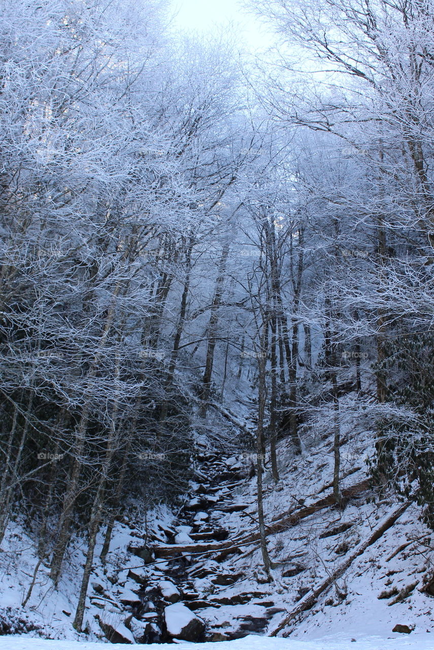 Frozen creek