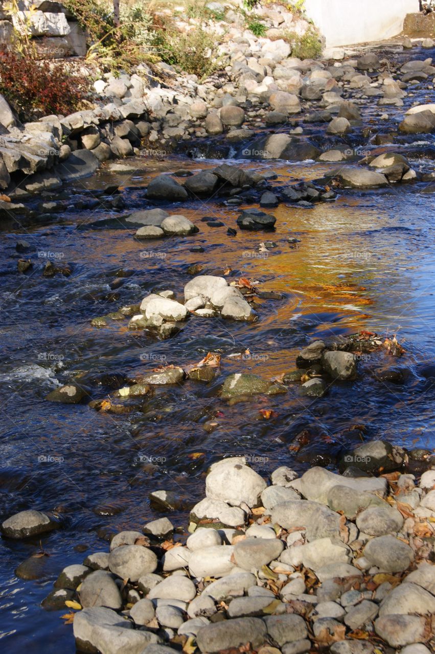 River reflections 