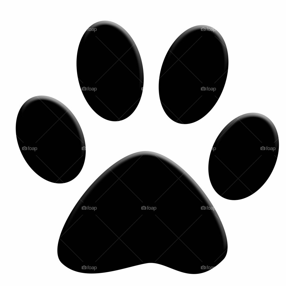 black paw on a white background