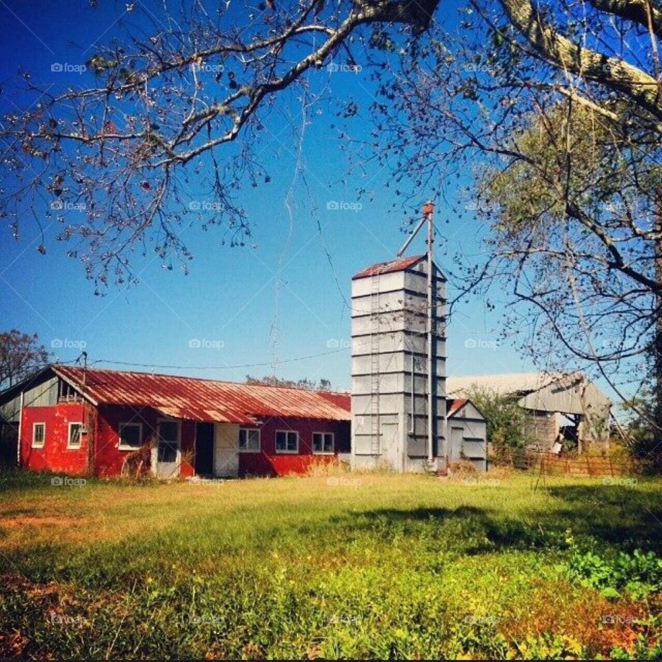 Dairy barn . My uncles livelihood , childhood memories 