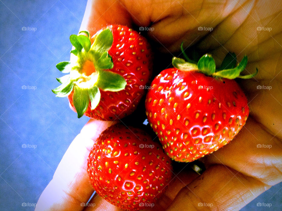 garden red summer hand by krispett
