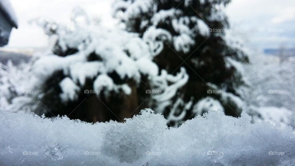 snow pattern on a window