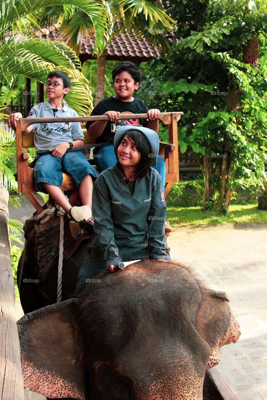 The girl who conquered the elephant. Tourist group of children riding an elephant at the bali zoo, elephant body seats for visitors on a safari to the bali zoo being ridden by a teenager.