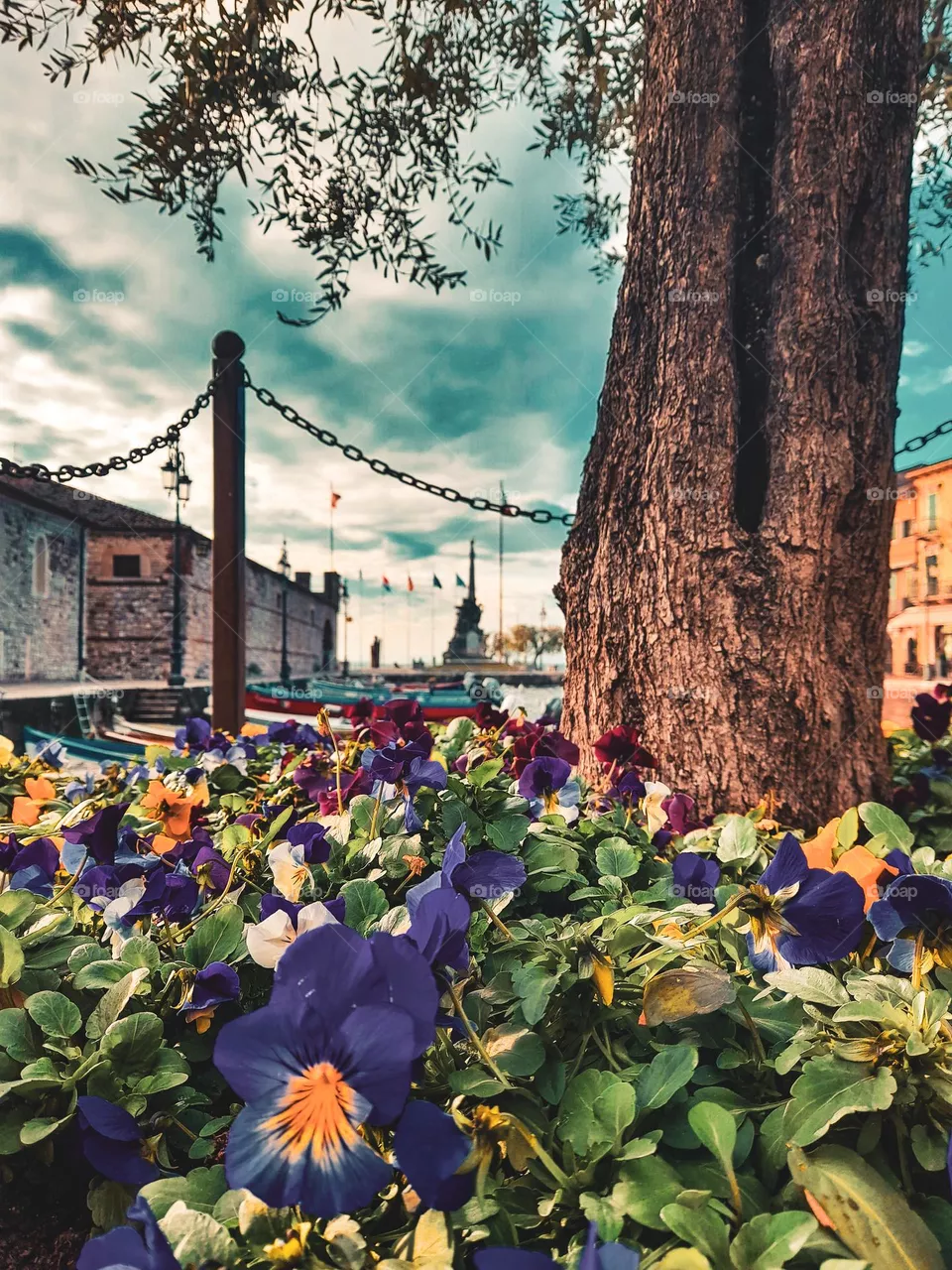 Spring is Here! Smell the freshness of the flowers