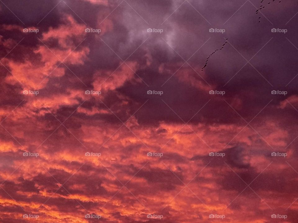 Special air and beautiful colored clouds the netherlands