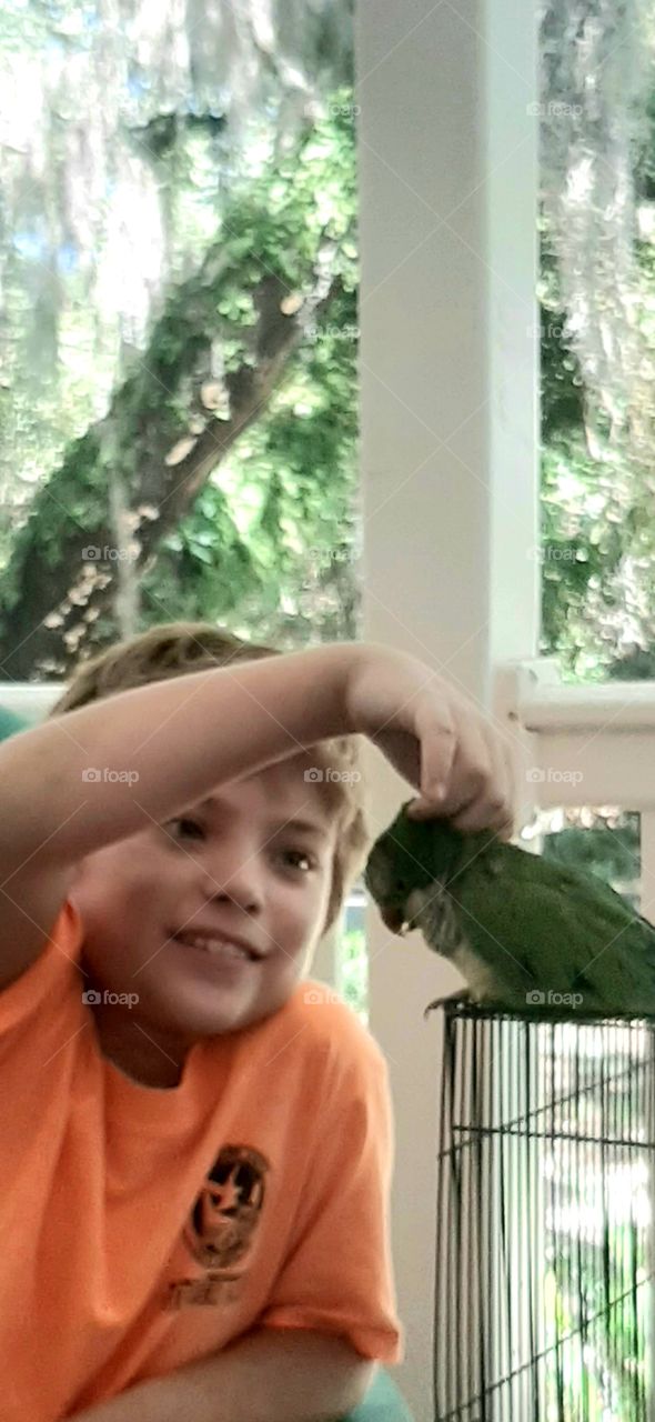 Kasey the parrot is getting sweeter in his old age. he has made yet another friend