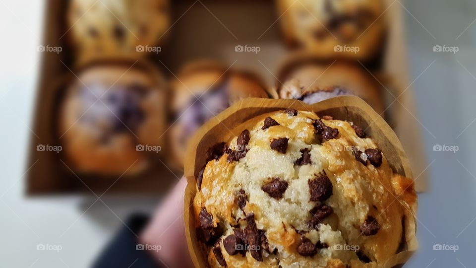 Chocolate chip muffins