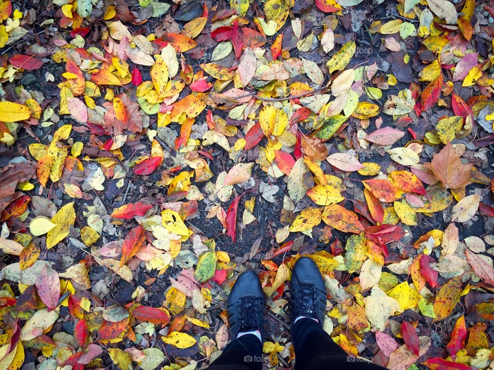 Looking down at woman’s black boots on the asphalt surrounded by yellow leaves 
