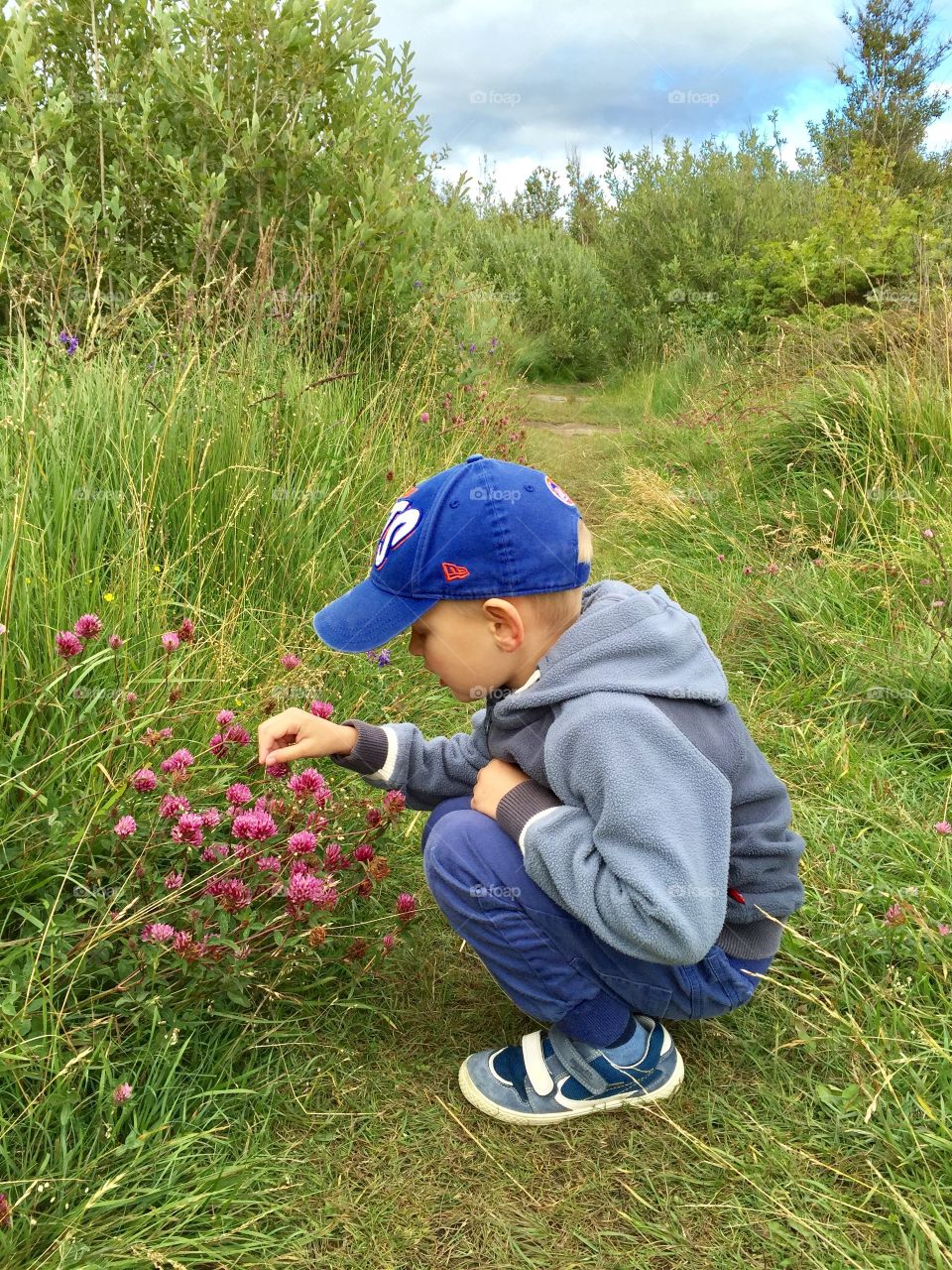 Red clover and a boy