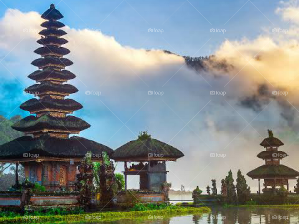 The Beautiful Nature Vibes