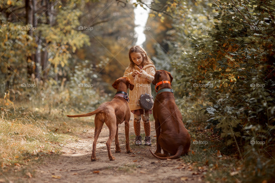 Little girl playing with dogs in an autumn park