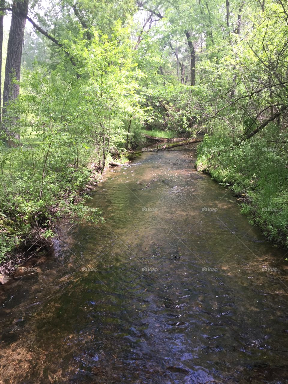 Natures creek