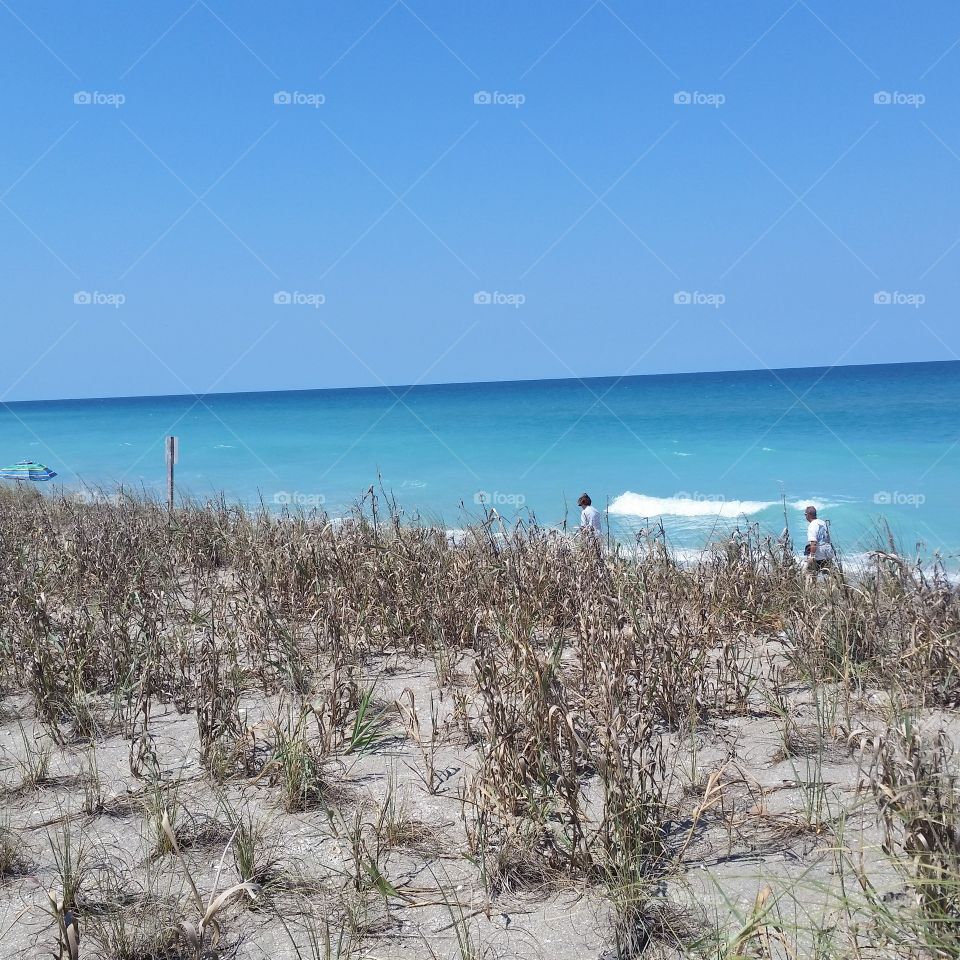 Beach. Beautiful clear water